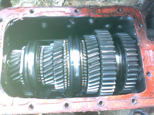 ขายเกียร์ร็อกกี่ 195 ขายเกียร์ร็อกกี่ 195