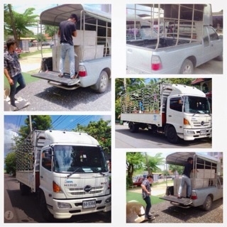 รถรับจ้าง4-6ล้อขนของแถวถนนบางนา-ตราด บางพลีใหญ่ -บางวัว-บางปะกง)  0824894182 เสือ