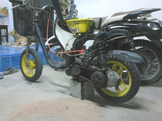 honda ป๊อบ