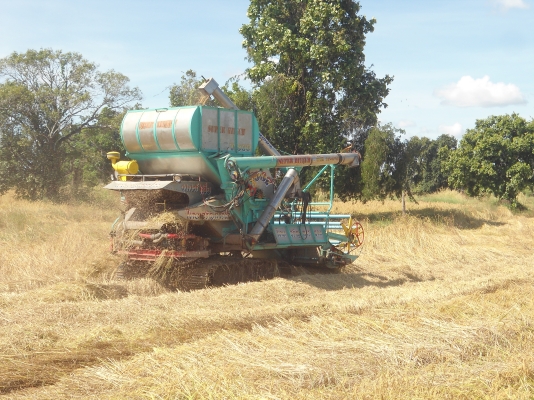 ขายรถเกี่ยวไทยเจริญ 260 แรงม้าลดสุดๆ1,170,000บาทเจ้าของขายเอง ขายรถเกี่ยวไทยเจริญ 260 แรงม้าลดสุดๆ1,170,000บาทเจ้าของขายเอง