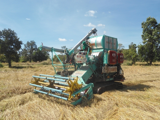 ขายรถเกี่ยวไทยเจริญ 260 แรงม้าลดสุดๆ1,170,000บาทเจ้าของขายเอง ขายรถเกี่ยวไทยเจริญ 260 แรงม้าลดสุดๆ1,170,000บาทเจ้าของขายเอง