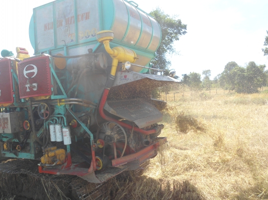 ขายรถเกี่ยวไทยเจริญ 260 แรงม้าลดสุดๆ1,170,000บาทเจ้าของขายเอง ขายรถเกี่ยวไทยเจริญ 260 แรงม้าลดสุดๆ1,170,000บาทเจ้าของขายเอง