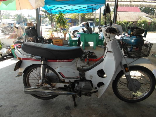 ขายดรีมคุรุสีขาวเดิมๆทะเบียนโอน13900บาทพิดโลก ขายดรีมคุรุสีขาวเดิมๆทะเบียนโอน13900บาทพิดโลก