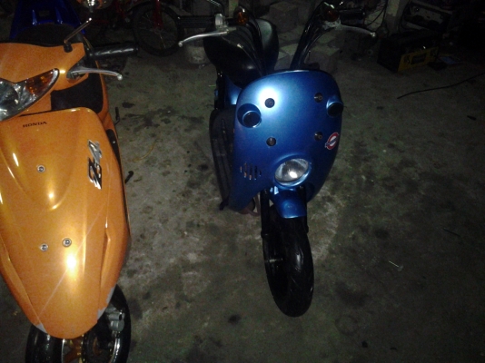 โชอิโนริ