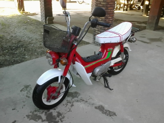 ขายชาลี ไฟล่างแต่งพร้อมใช้