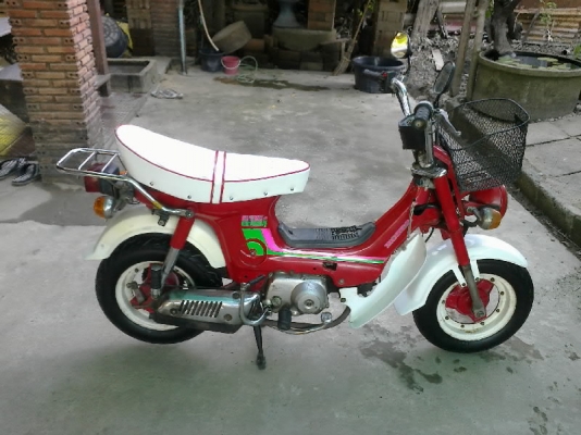 ขายชาลี ไฟล่างแต่งพร้อมใช้