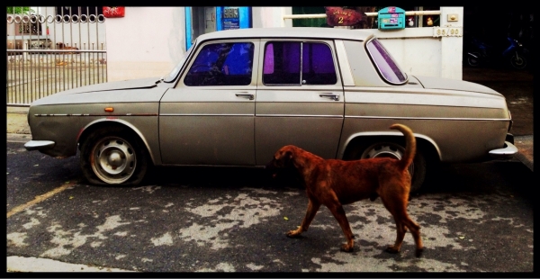 Renult R10 แห้งเดิม