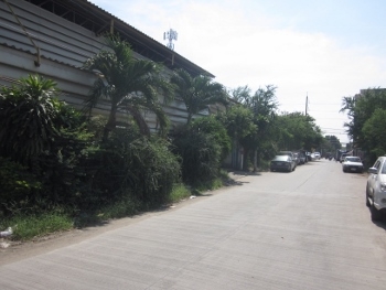 ให้เช่า โกดัง-โรงงาน พร้อมใบอนุญาต รง. ขนาด 1200 ตร.ม.พร้อม office จำนวน 2 ชั้น แถวแพรกษา สมุทรปราการ ให้เช่า โกดัง-โรงงาน พร้อมใบอนุญาต รง. ขนาด 1200 ตร.ม.พร้อม office จำนวน 2 ชั้น แถวแพรกษา สมุทรปราการ