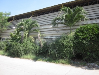 ให้เช่า โกดัง-โรงงาน พร้อมใบอนุญาต รง. ขนาด 1200 ตร.ม.พร้อม office จำนวน 2 ชั้น แถวแพรกษา สมุทรปราการ ให้เช่า โกดัง-โรงงาน พร้อมใบอนุญาต รง. ขนาด 1200 ตร.ม.พร้อม office จำนวน 2 ชั้น แถวแพรกษา สมุทรปราการ