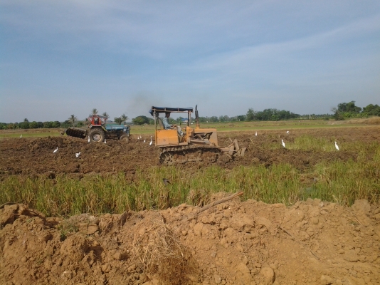 ขายแทรกเตอร์