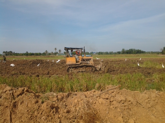 ขายแทรกเตอร์