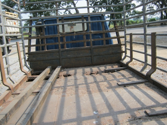 ขาย 6ล้อ TOYOTA 115 เอาไปทําดั้มถูกประหยัดเงิน