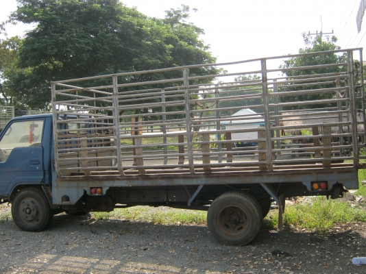 ขาย 6ล้อ TOYOTA 115 เอาไปทําดั้มถูกประหยัดเงิน