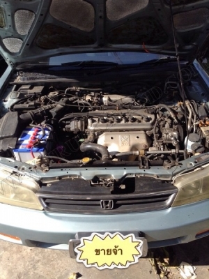 รถยนต์ HONDA ACCORD ปี 1955 รถยนต์ HONDA ACCORD ปี 1955