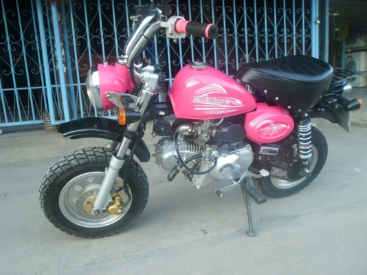 ขายMINIสีสดใส ขายMINIสีสดใส