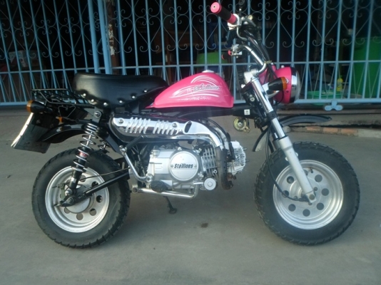 ขายMINIสีสดใส ขายMINIสีสดใส