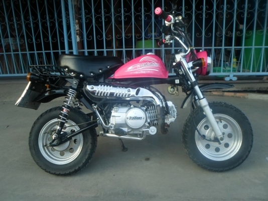 ขายMINIสีสดใส ขายMINIสีสดใส