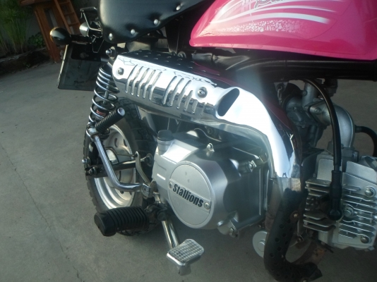 ขายMINIสีสดใส ขายMINIสีสดใส