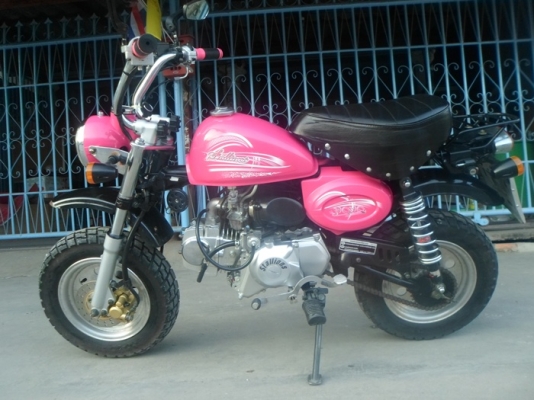 ขายMINIสีสดใส