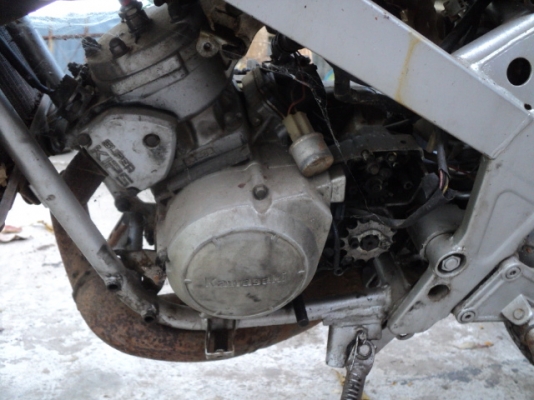 ขาย KR SSE ราคา 3900 บาท