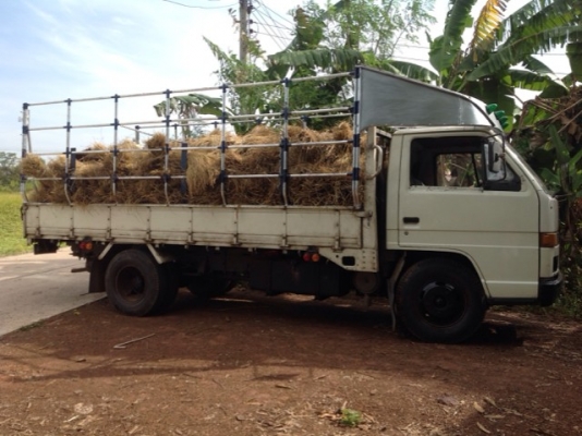 ขายรถ6ล้อ (รถบ้าน) ขายรถ6ล้อ (รถบ้าน)