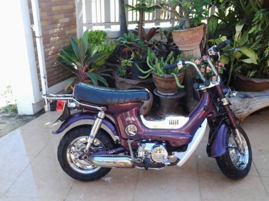 ขายแล้วครับ ขอบคุณ พี่เสือมากครับ ขายแล้วครับ ขอบคุณ พี่เสือมากครับ