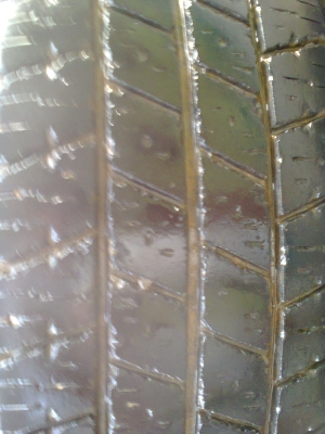 กะทะ+ยาง195R14 คุ้มๆยางดีวิ่งบรรทุกสบาย