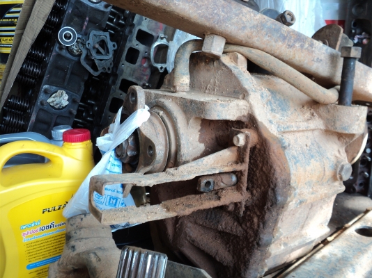 ขายสโลว์ร็อกใหญ่ มีเเท่นให้ พร้อมยอยคับ ขายสโลว์ร็อกใหญ่ มีเเท่นให้ พร้อมยอยคับ