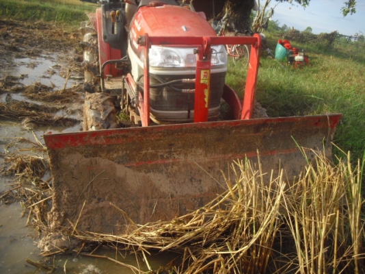 ขายยันม่า  35  แรง  4wd  210,000