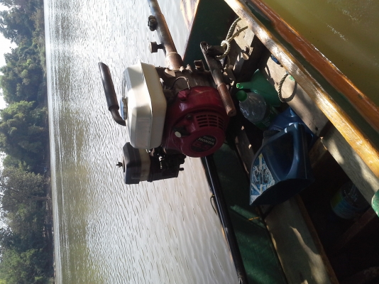 ขาย เรือไม้ 9 ศอก เครื่องhonda 6.5 แรง ขาย เรือไม้ 9 ศอก เครื่องhonda 6.5 แรง