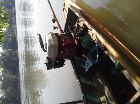 ขาย เรือไม้ 9 ศอก เครื่องhonda 6.5 แรง ขาย เรือไม้ 9 ศอก เครื่องhonda 6.5 แรง