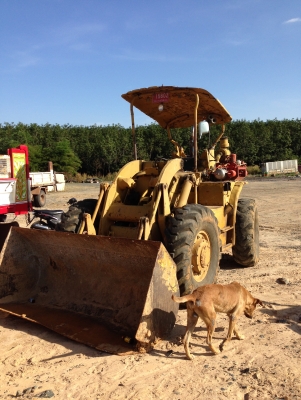 ขายรถตัก cat 922