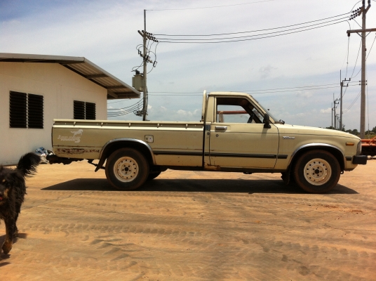 ขายม้ากระโดด 5 ขอ