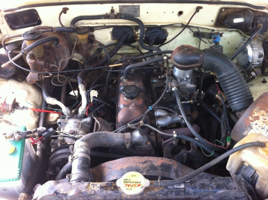 ขายม้ากระโดด 5 ขอ ขายม้ากระโดด 5 ขอ