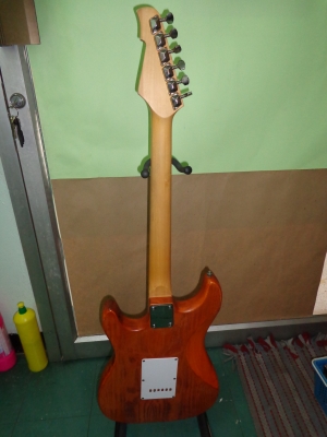 ขายกีต้าร์ไฟฟ้า