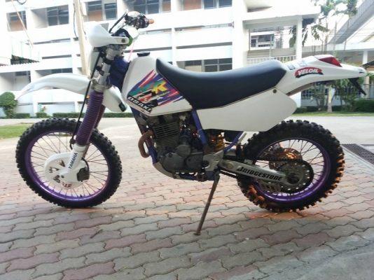 ขายTTR250