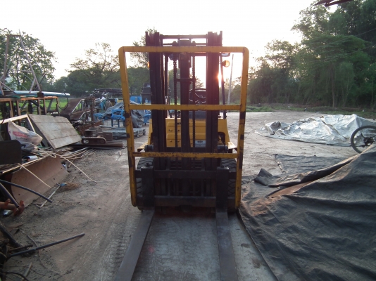 ขาย โฟล์คลิฟ