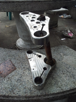 แผงคอเบน ใส่ Steed