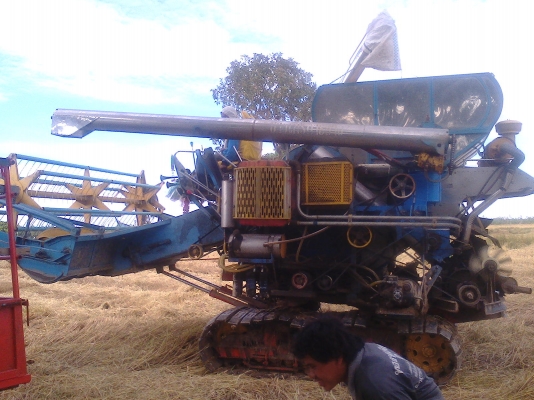 บางไทร  อุ้ม2กำลังทำสีและลายให้สวยๆ