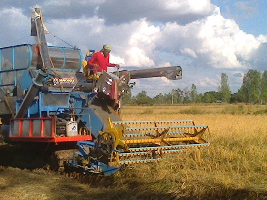 บางไทร  อุ้ม2กำลังทำสีและลายให้สวยๆ