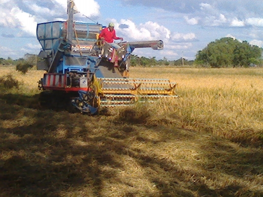 บางไทร  อุ้ม2กำลังทำสีและลายให้สวยๆ