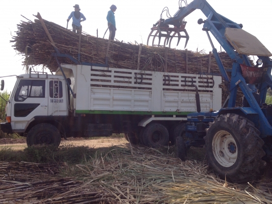 ขายด่วนสิบล้อสองเพลาดั้ม เทอร์โบแท้100\%เครื่องเดิมเกียร์เดิม ชีเรียล2000กว่า เพลาบุ่มสภาพพร้อมใช้ รถวิ่งอ้อยอยู่บุรีรัมย์ เอกสารเล่มทะเบียนพร้อมโอน เจ้าของขายเอง ขายด่วนสิบล้อสองเพลาดั้ม เทอร์โบแท้100\%เครื่องเดิมเกียร์เดิม ชีเรียล2000กว่า เพลาบุ่มสภาพพร้อมใช้ รถวิ่งอ้อยอยู่บุรีรัมย์ เอกสารเล่มทะเบียนพร้อมโอน เจ้าของขายเอง