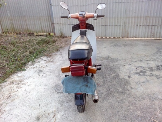 ขาย c900 สีแดงหน้าทองขาว สีเดิมยังสวยน่าใช้