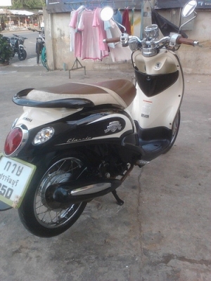 ขาย Fino ลายคลาสสิค สวยๆราคาถูกครับ