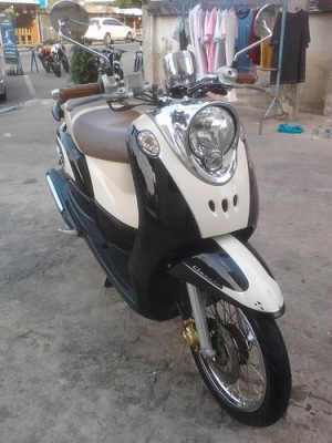 ขาย Fino ลายคลาสสิค สวยๆราคาถูกครับ