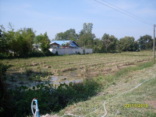 ขายที่เปล่าเนื้อที่5ไร่อยู่วิหารแดง 1.6ล้าน