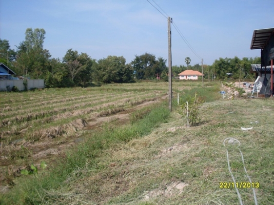 ขายที่เปล่าเนื้อที่5ไร่อยู่วิหารแดง 1.6ล้าน