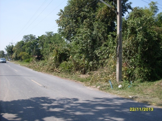 ขายที่เปล่าเนื้อที่5ไร่อยู่วิหารแดง 1.6ล้าน