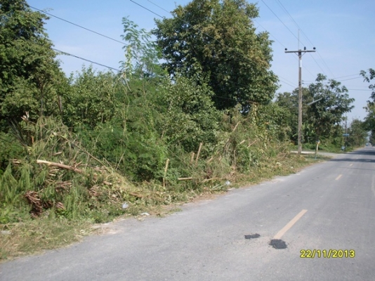 ขายที่เปล่าเนื้อที่5ไร่อยู่วิหารแดง 1.6ล้าน