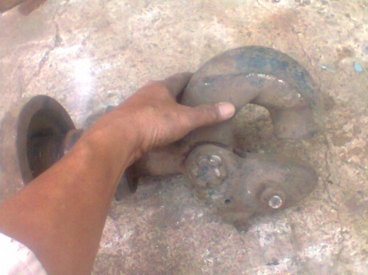 ขายปากนกแก้วสภาพสมบูรณ์ มีเฟืองที่ปลายครอ